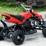 Motor Atv Mini 50 Cc Quad Bike