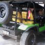 Jeep Willys Mambo th 1969 Plat F