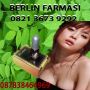 087838464969-BB 260F7913 Penjual Obat Pelangsing Badan Herbal Di Bukittinggi Pariaman Sawahlunto