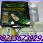 082136739292 - BB 260F7913 Penjual Green Slimming Obat Pelangsing Badan Herbal Original 3 bonus 1