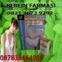 082136739292-BB 260F7913 PENJUAL KIANPI GINSENG PENGGEMUK BADAN HERBAL DI MAGELANG,SEMARANG,JOGJA,