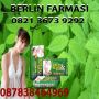 082136739292-BB 260F7913 Penjual Obat Pelangsing Badan Herbal Di Bangka Belitung,pangkal pinang,