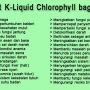 Chlorophyll K-link Liquid jogjakarta