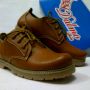 Dalmo Low Boot size 40-44