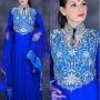 Anarkali gown limitd 017