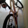 Jual Polygon Cleo 2.0 bekas Padang