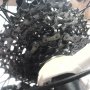 Jual Sepeda MTB Element