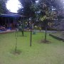 Jual Rumah Di Bogor Tanah Luas