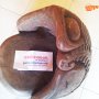Jual Kursi antik bonggol kelapa tua