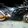 Jual Ninja 250cc thn 2008 ARM Delkevic, Modif, Siap pakai