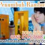 HAIR TONIC PENUMBUH RAMBUT & PENGHILANG UBAN,KETOMBE CALL 085287957888