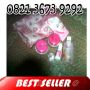 085743110754 BBM 260F7913 Jual Qweena Skin Care Original 100% Herbal Alami