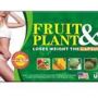 OBAT HERBAL PELANGSING BADAN FRUIT PLANT SLIMMING BEAUTY USA  087831863111