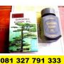 Obat Penggemuk Badan Herbal (Kianpi) Kualitas Terjamin 081327791333