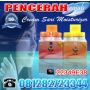 Pencerah Wajah Paket Cream Sari Moisturizer Whitening