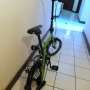 Jual Polygon Urbano 2.0 2013