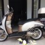 Jual Honda Scoopy Putih Gold 2012 