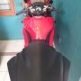 Jual Kawasaki Ninja 250 merah 2011 mulus terawat