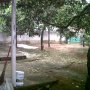 Jual Rumah Kebun di Citeureup