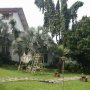 Jual Rumah Mewah Lebak Bulus Cocok Jadi Hotel