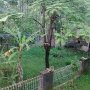 Jual Rumah Nyaman semarang
