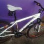 jual Sepeda MTB Dominate 013, 26 inch