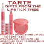 TARTE GIFTS FROM THE LIPSTICK TREE: