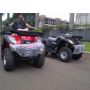 Atv 110cc Ring 8