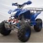 Atv 110cc Ring 8