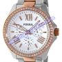 FOSSIL CECILE AM4496