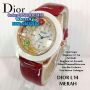 DIOR L14 Leather for Ladies