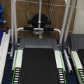 Treadmill elektrik 1HP BG Id-538M