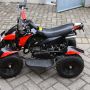 ATV Quad Bike 50cc Double Stater