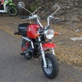 Honda Mongkay 110cc
