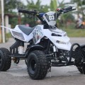 ATV Quad Bike 50cc