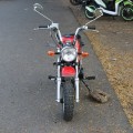 Honda Mongkay 110cc