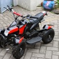ATV Quad Bike 50cc Double Stater