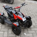 ATV Quad Bike 50cc Double Stater