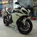 Fs Yamaha R1 2010 FP