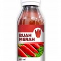 buah merah papua kuansu Pandanus Conoideus red fruit irian jaya