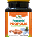 procumin propolis habbatussauda black cumin hpai antibiotik herbal