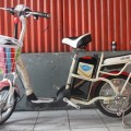 Electric Bicycle Selis Super Rider Sepeda Listrik Earth Neptunus Murah