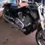 Jual Harley Davidson V ROD MUSCLE 2010