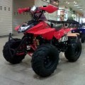 Motor ATV 110cc Ring 8