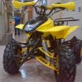 Motor ATV 110cc Ring 8