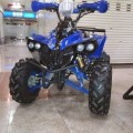 Motor ATV Ring 8 110cc