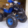 Motor ATV 110cc Ring 8