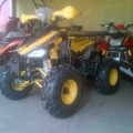 Motor ATV Ring 8 110cc