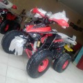 MOTOR ATV 110cc RING 8