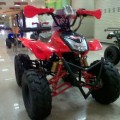 Motor ATV Ring 8 110cc